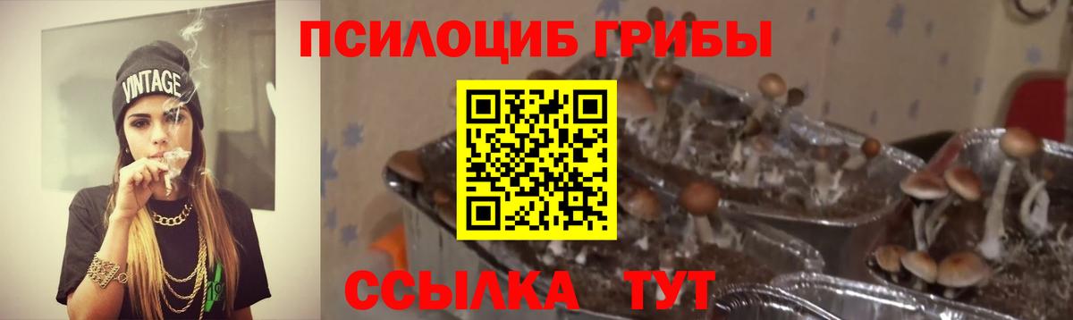 Галлюциногенные грибы Psilocybine cubensis  Вход с VPN  продажа наркотиков  Великий Устюг 